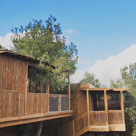 Villa Occitana Calvisson Ngoại thất bức ảnh
