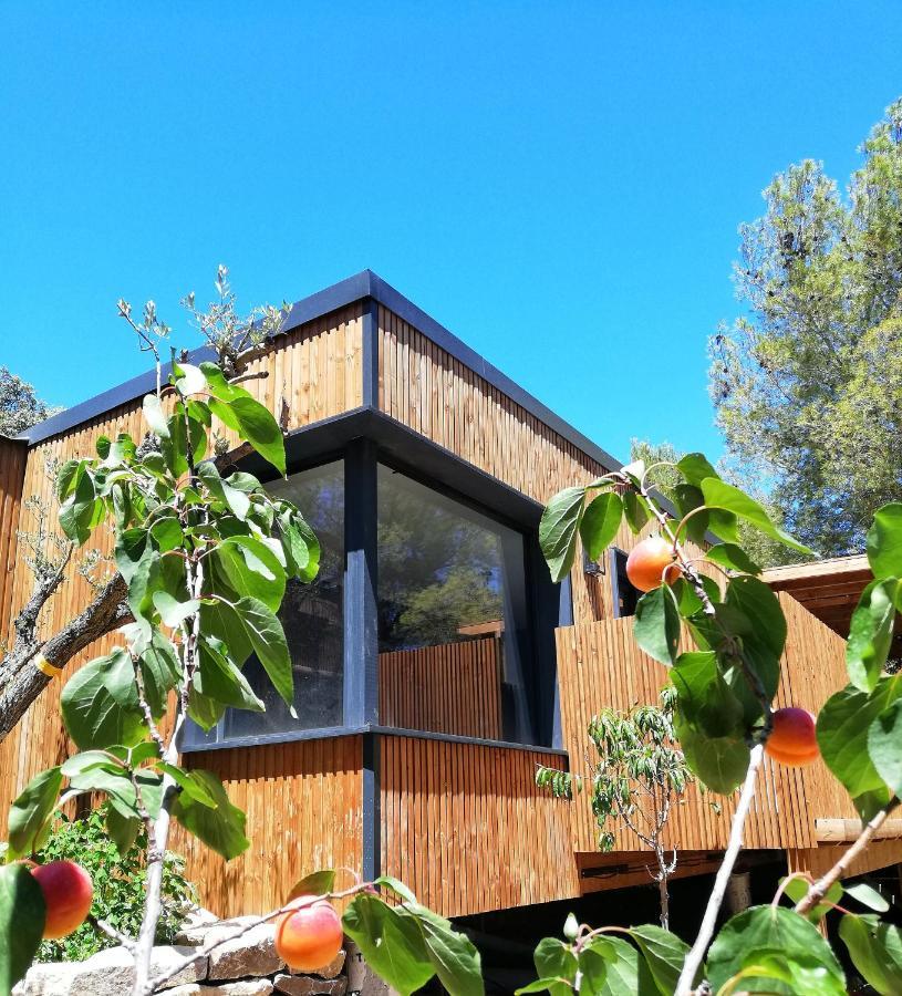 Villa Occitana Calvisson Ngoại thất bức ảnh