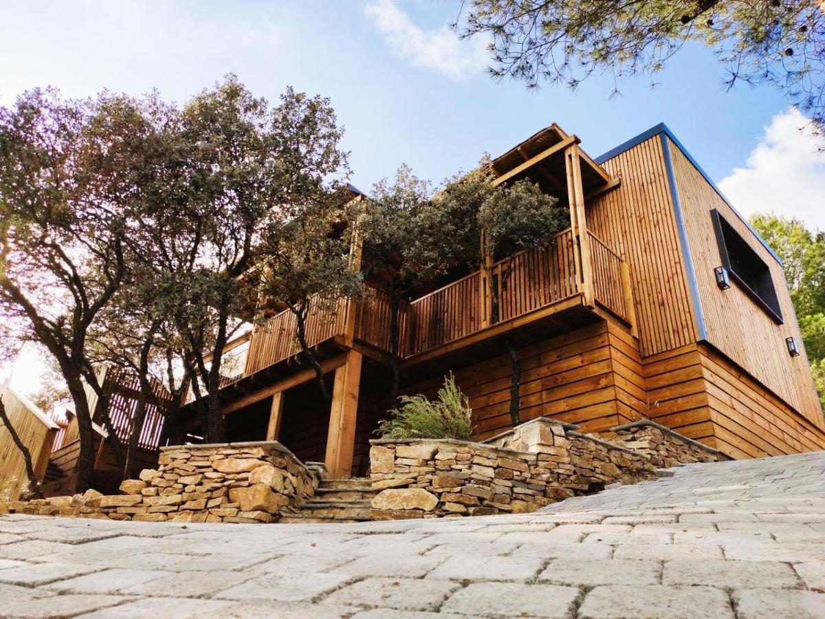 Villa Occitana Calvisson Ngoại thất bức ảnh