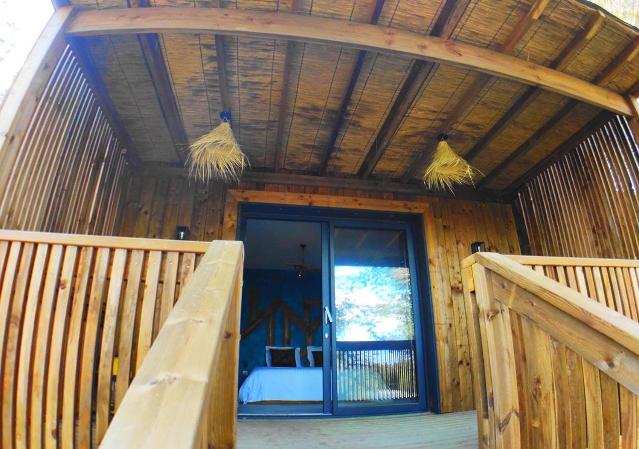 Villa Occitana Calvisson Ngoại thất bức ảnh